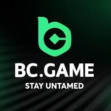 BC.Game Mobile App Your Gateway to Exciting Gaming in Kazakhstan
