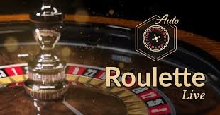 Exploring the Thrills of Bitcoin Roulette The Future of Online Gambling